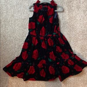 Janie and Jack velvet holiday dress